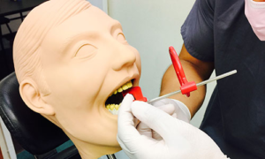 dental assistant training academy-dummy-model